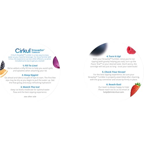 Cirkul 40oz. Chameleon Stainless Steel Tumbler with Handle, All-Day StrawSip, Double-Wall Insulated