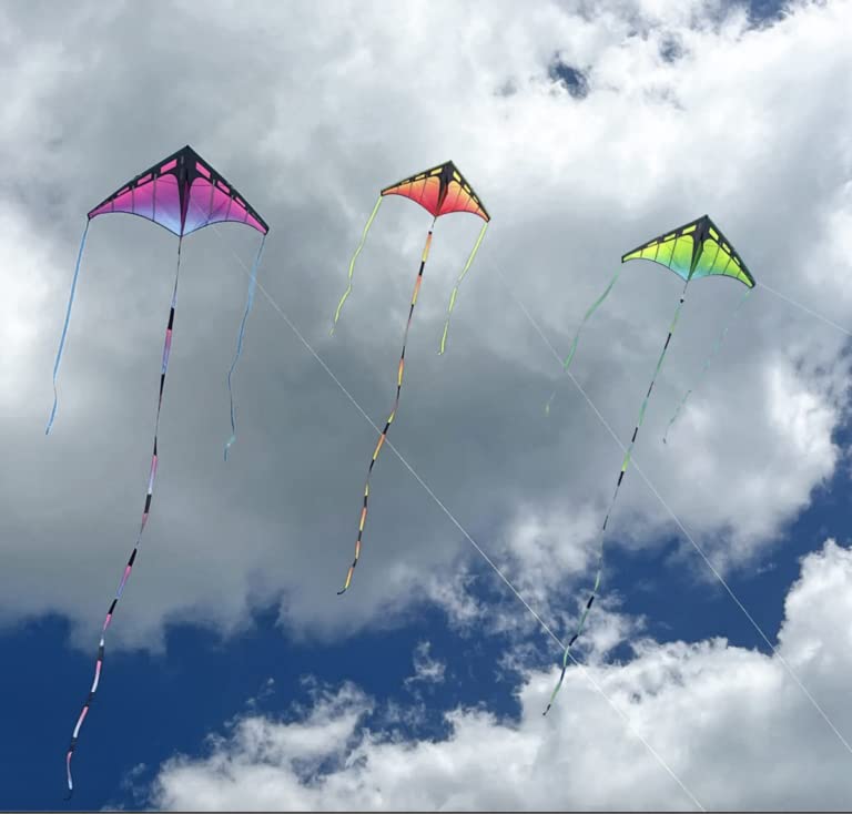 Prism Kite Technology Plasma Ribbon 20 Foot Tail Compatible with Dual and Single Line Kites (Aurora)