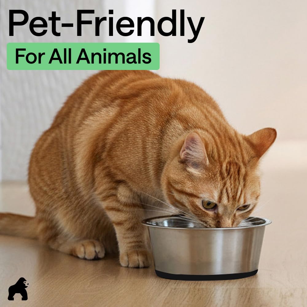 GORILLA GRIP Dog Bowls, Heavy Duty 304 Stainless Steel, Holds 2 Cups Each (16 fl oz) Food and Water Bowl for Feeding Dogs and Cats, Dishwasher Safe, Rust Resistant, BPA Free Rubber Base Set of 2 Black