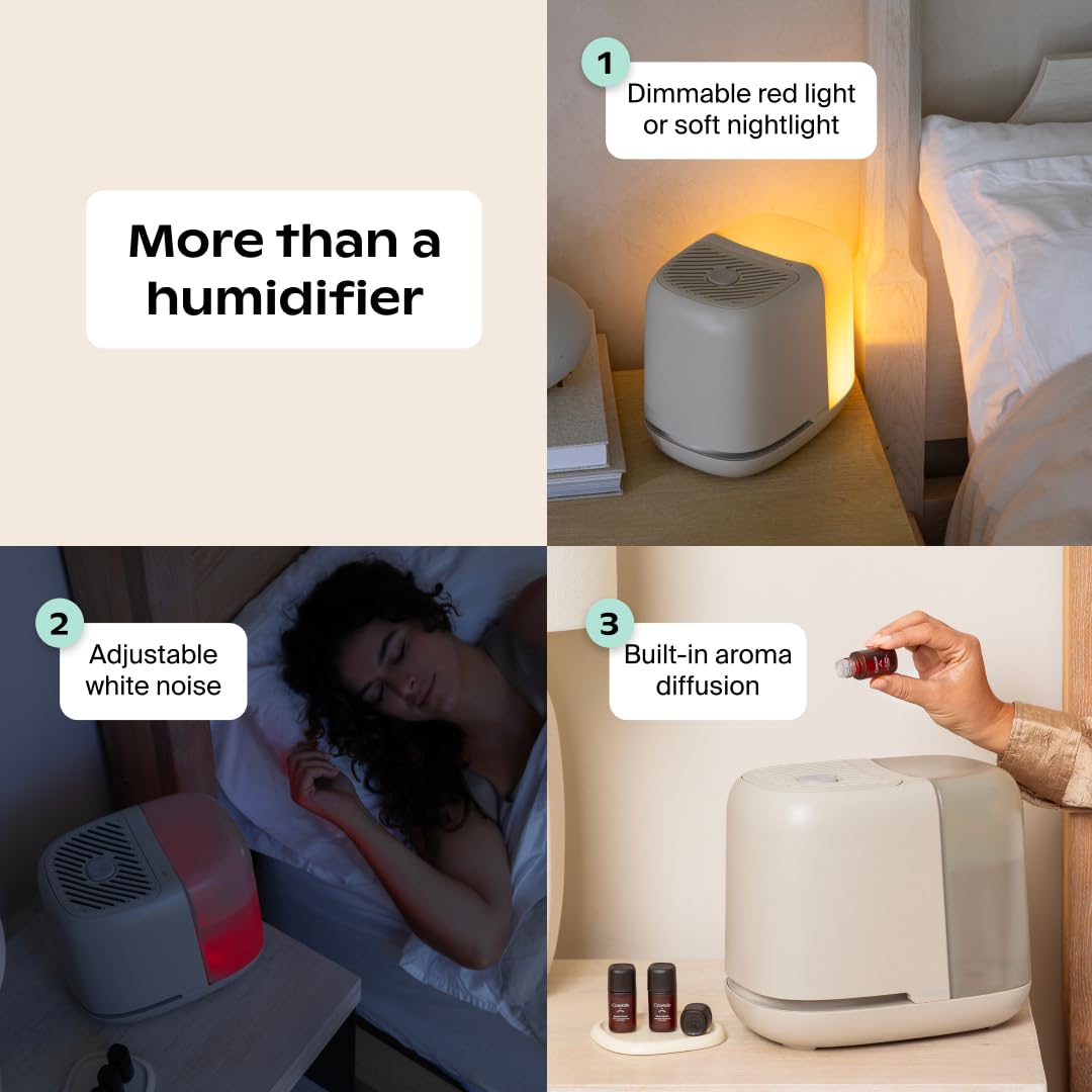 Canopy Bedside Humidifier 2.0, White, 36 HR Run Time, 2.5L Capacity - Reading Light & White Noise - Alleviate Symptoms of Allergies, Flu, Cold, Dry Skin - Humidifier, Filter, Power Cord & Adapter