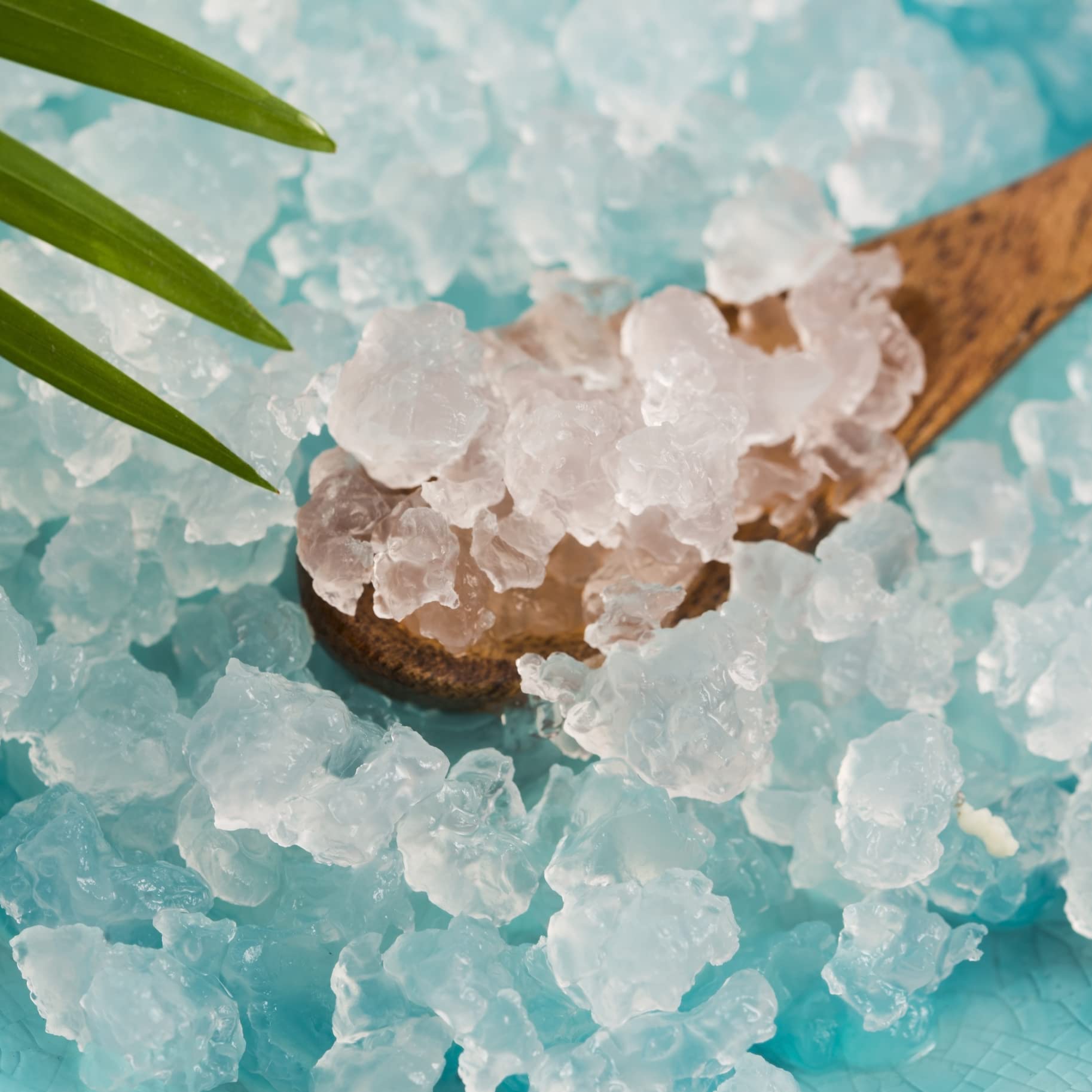 Cultures for Health ENDLESS Fresh Water Kefir Grains | DIY Fermented Probiotic Drink Enhances Gut Health | Heirloom Live Kefir Starter Makes Limitless Supply | Non-GMO Dairy Free Vegan Sparkling Water