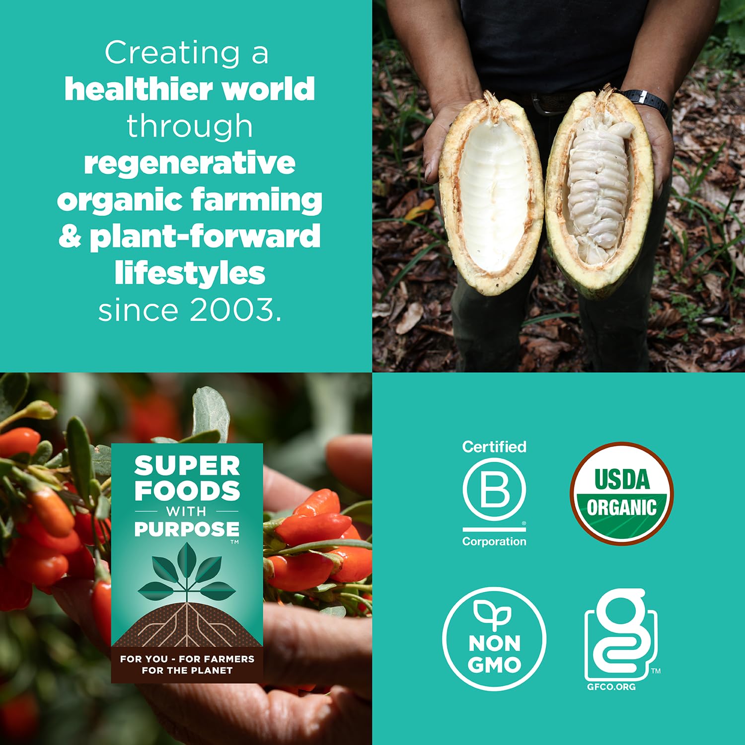 Navitas Organics Superfood Power Snacks, Cacao Goji, 16 oz. Bag, 23 Servings - Organic, Non-GMO, Gluten-Free