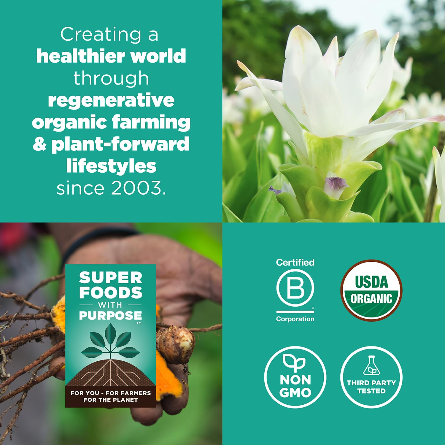 Navitas Organics Turmeric Powder – for Smoothies, Golden Milk, Curries & More – Natural Curcumin – Anti-inflammatory – USDA Organic, Non GMO, Kosher Gluten Free, Vegan (8oz. Bag, 45 Servings)