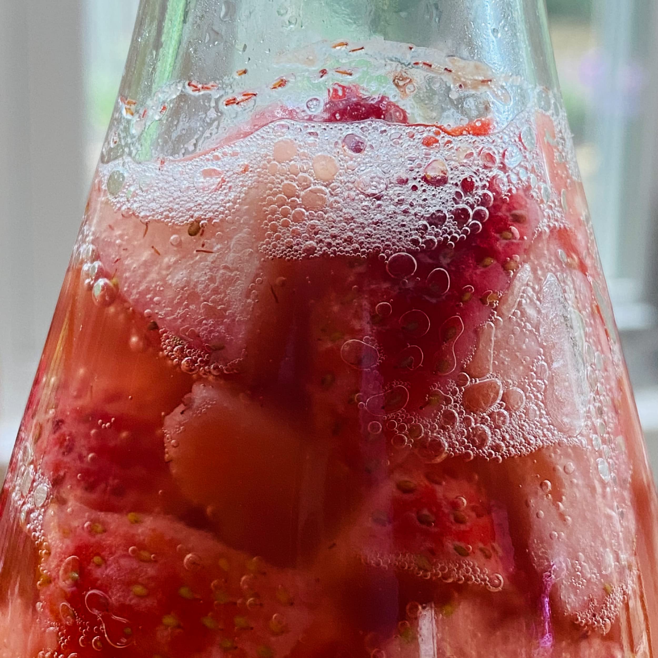 Cultures for Health ENDLESS Fresh Water Kefir Grains | DIY Fermented Probiotic Drink Enhances Gut Health | Heirloom Live Kefir Starter Makes Limitless Supply | Non-GMO Dairy Free Vegan Sparkling Water