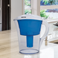 The Perfect Pitcher on kitchen counter