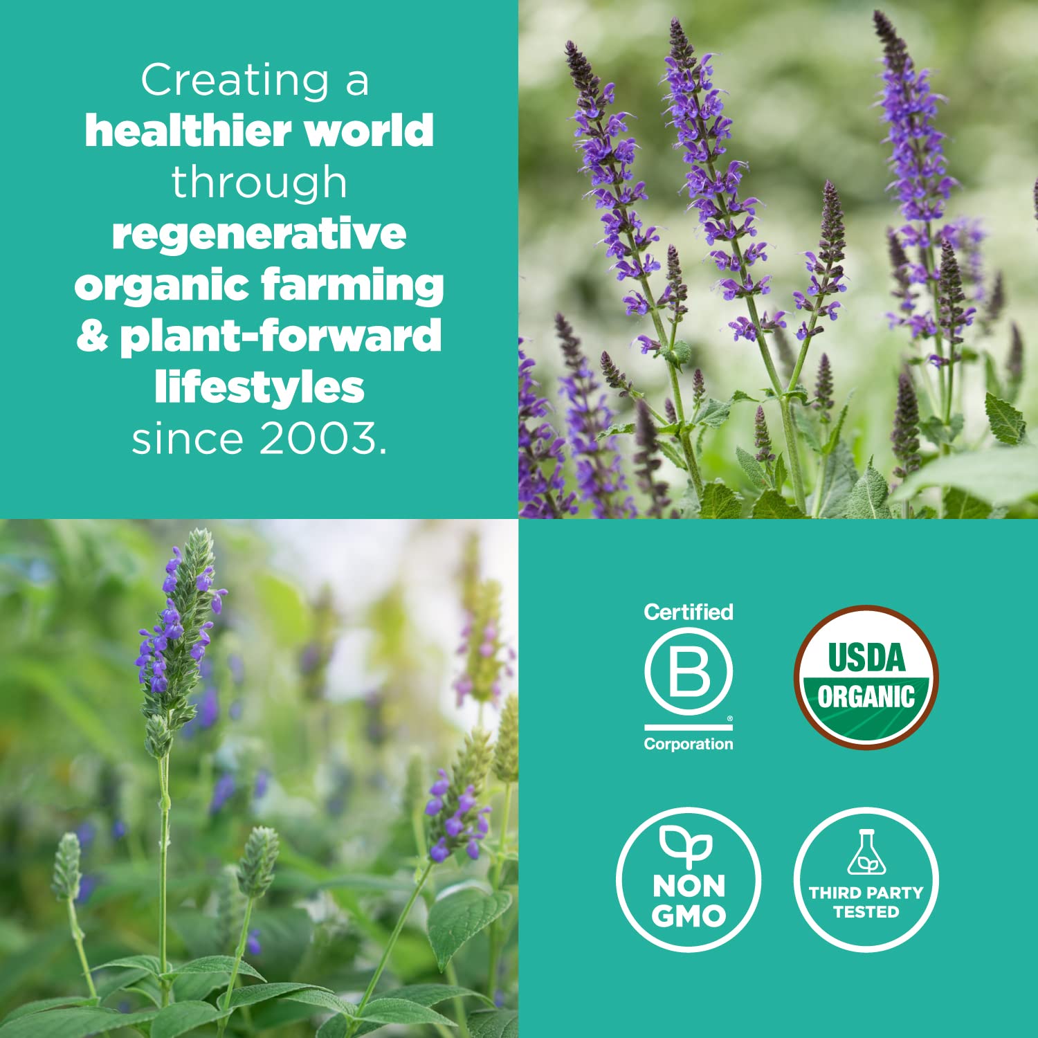 Navitas Organics Chia Seeds – For Chia Pudding, Smoothies, Baking, Salads & More – Omega 3, Fiber, Minerals - USDA Organic, Non GMO, Kosher, Gluten Free, Keto (16oz. Bag, 15 Servings)