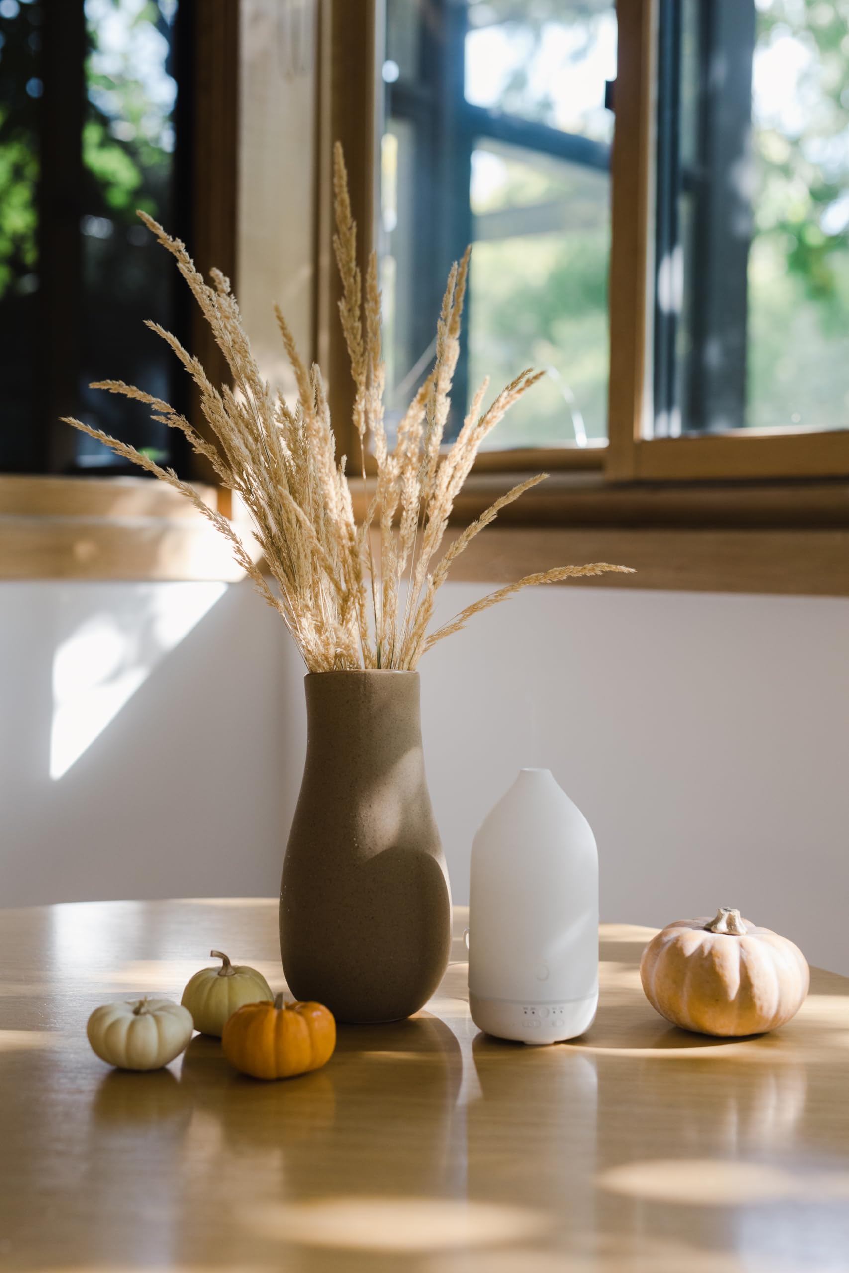 doTERRA Laluz Diffuser