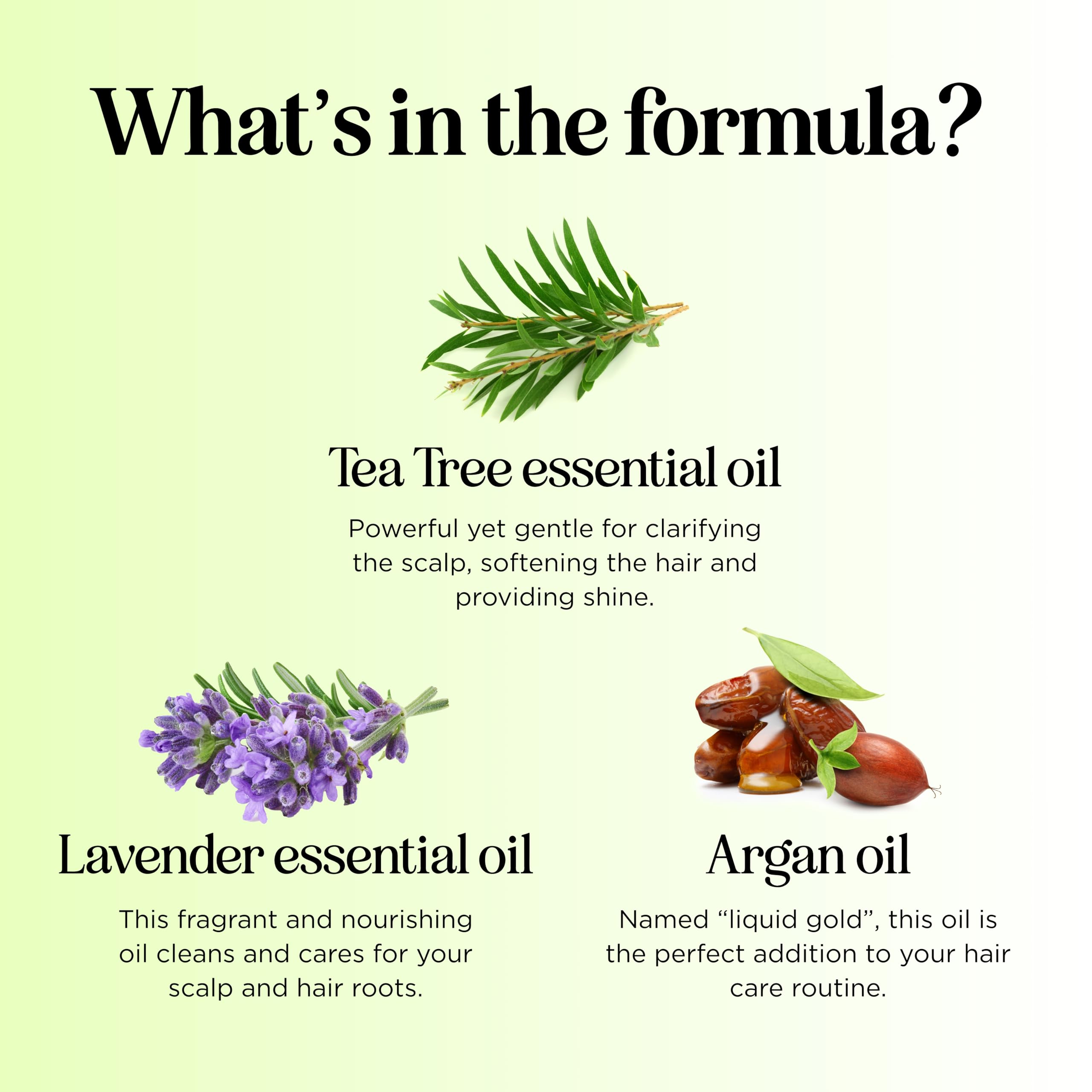 Clarifying Shampoo for Build Up & Oily Hair - Tea Tree Shampoo for Men and Women with Rosemary Essential Oil for Oily Hair and Scalp - Color Safe Vegan Sulfate Silicone & Paraben Free (16 Fl Oz)