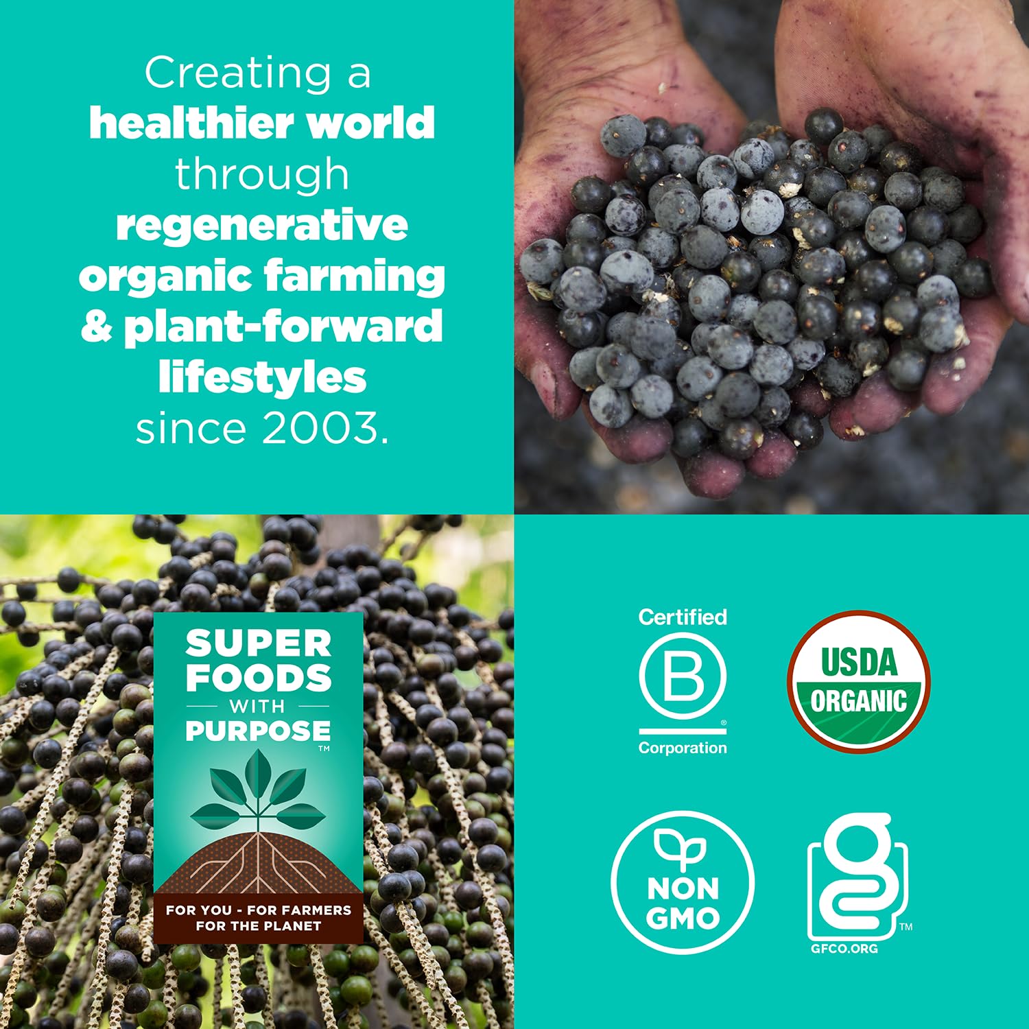Navitas Organics Berry Acai Superfood+ BITES – Power Snacks – All Natural Plant Based – Clean Energy & Nutrition – USDA Organic, Non GMO, Gluten Free, Soy Free, Kosher, Vegan (8oz. Bag 11 Servings)