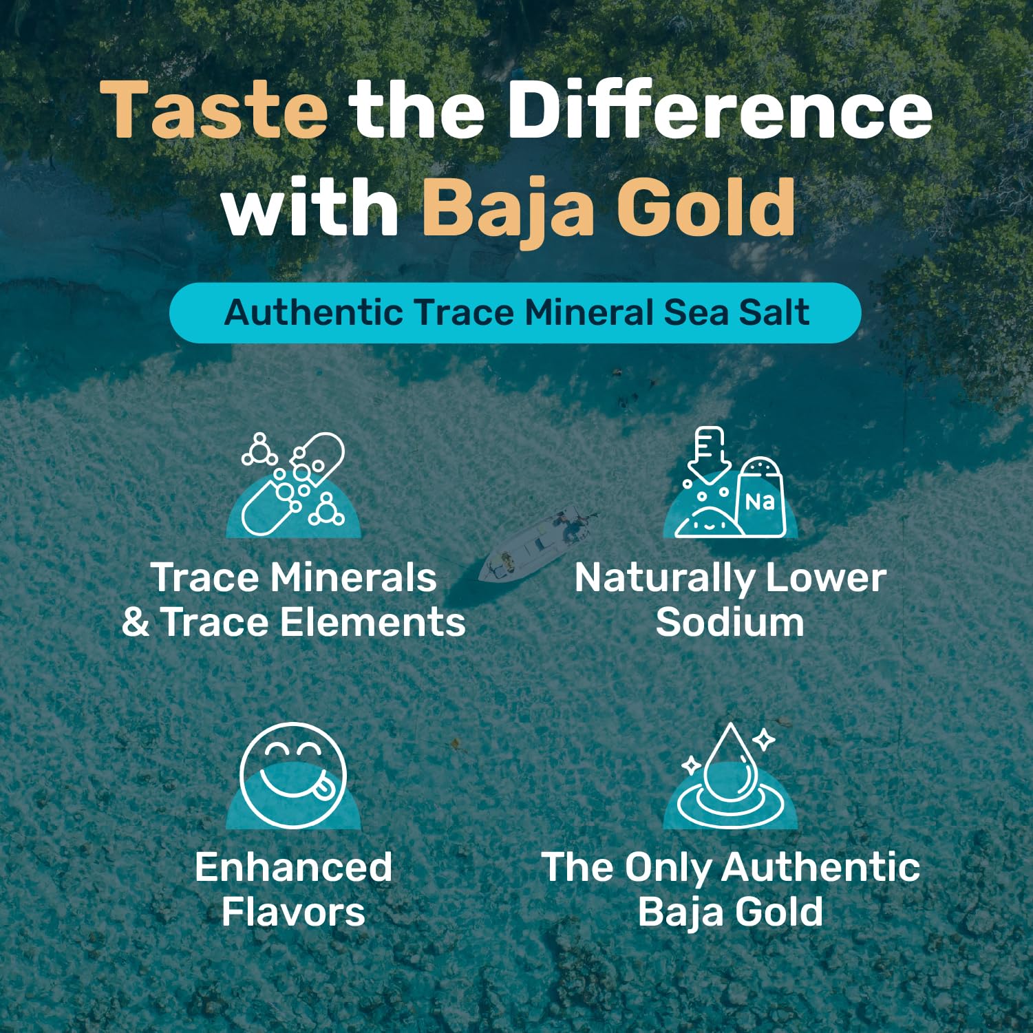Baja Gold Signature Mineral Sea Salt - Recommended by Gary Brecka - Authentic Fine Grind Salt for Cooking & Baking | Natural Baja Salt for Culinary Uses | Great for Finishing Dishes | 5 lb. Resealable Bag, 1,500+ Servings