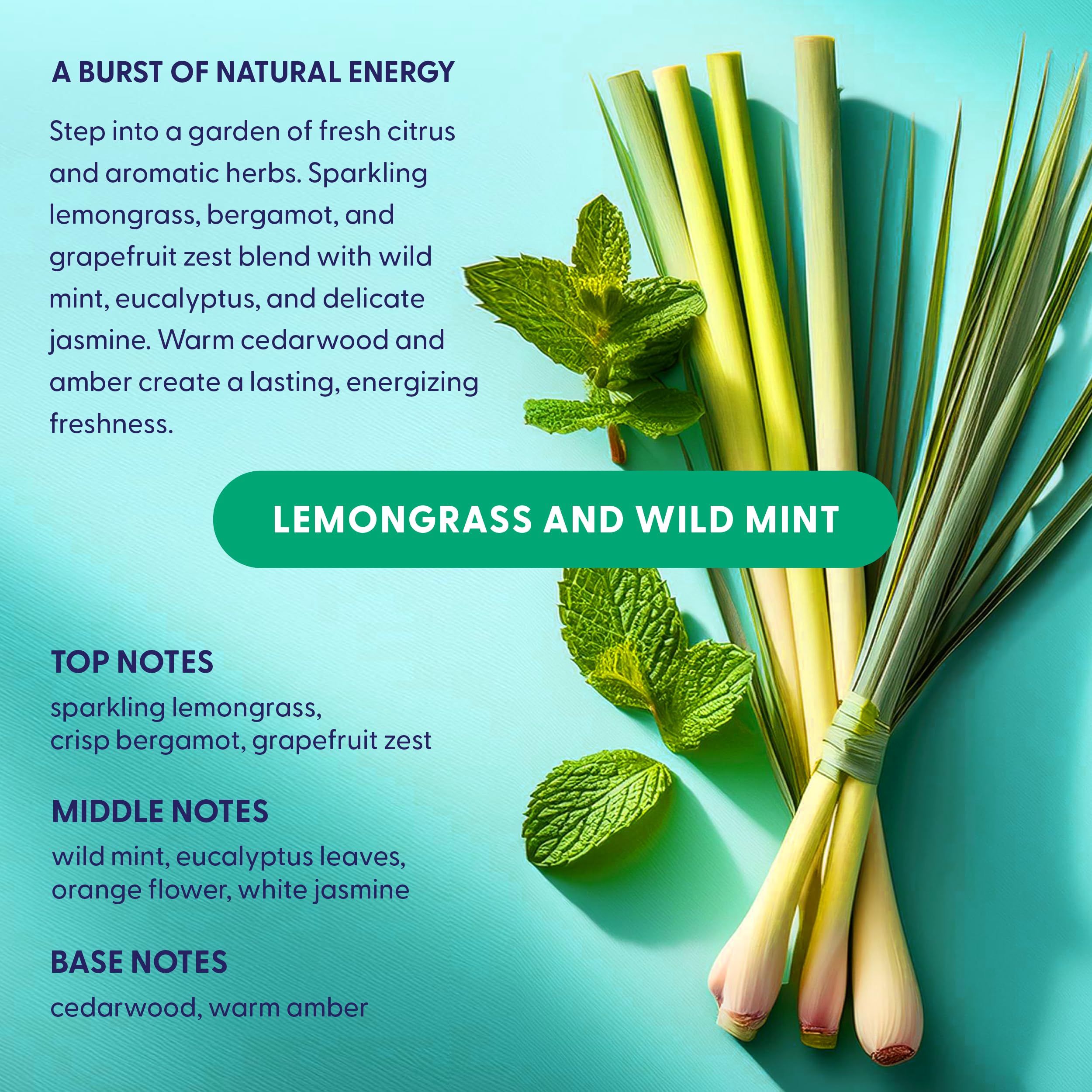 Natural Dishwasher Pods | Plant-Based Enzyme Dishwasher Detergent, Lemongrass & Wild Mint, Eco-Friendly, Tough on Grease & Food Residue, 60 Count