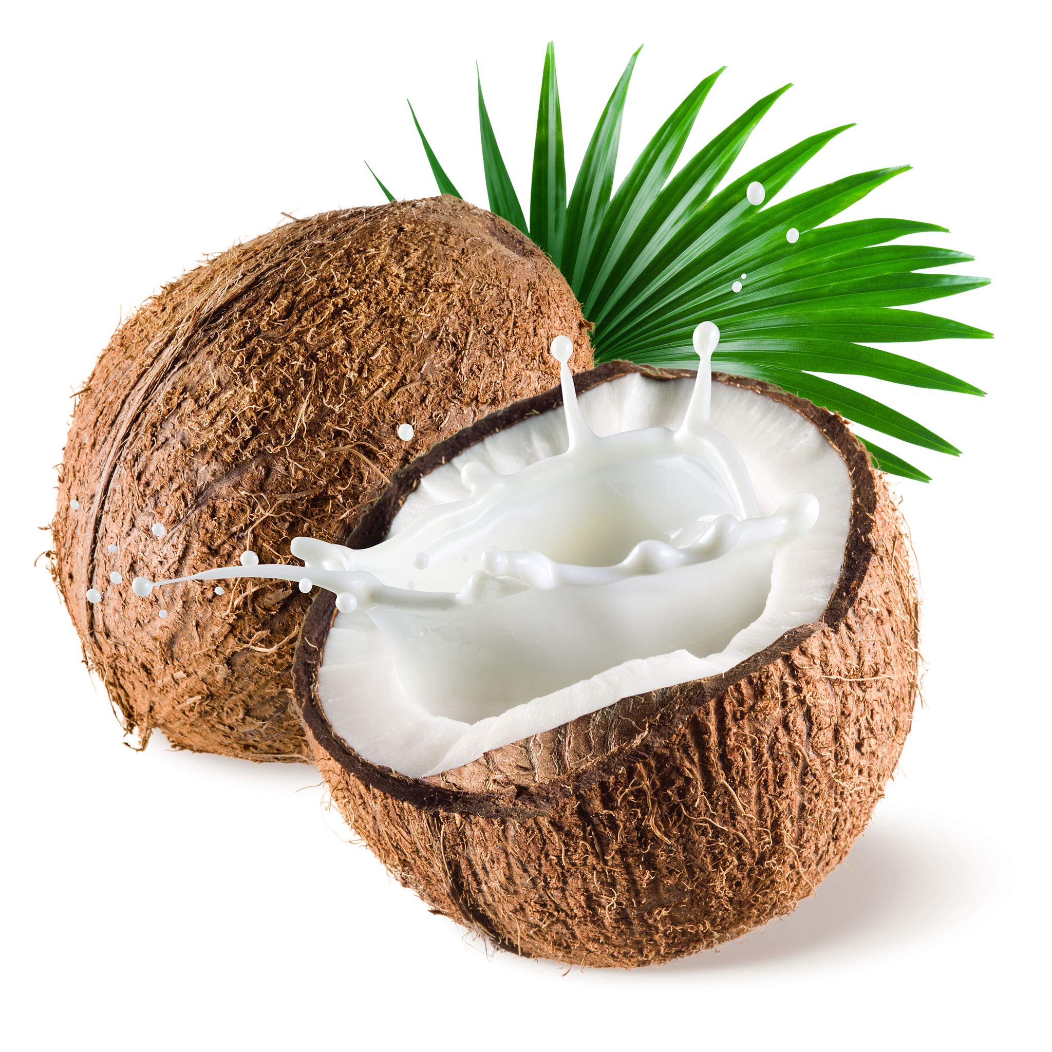 US Organic Fractionated Coconut Oil Bulk Pack, USDA Certified Organic, Non-GMO, Perfect for massage, carrier oil for DIY blends, Hair, Skin care. 100% Pure, Hexane-Free (128 oz (1 Gallon))